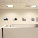installation view at community partner, los angeles, ca, 2010