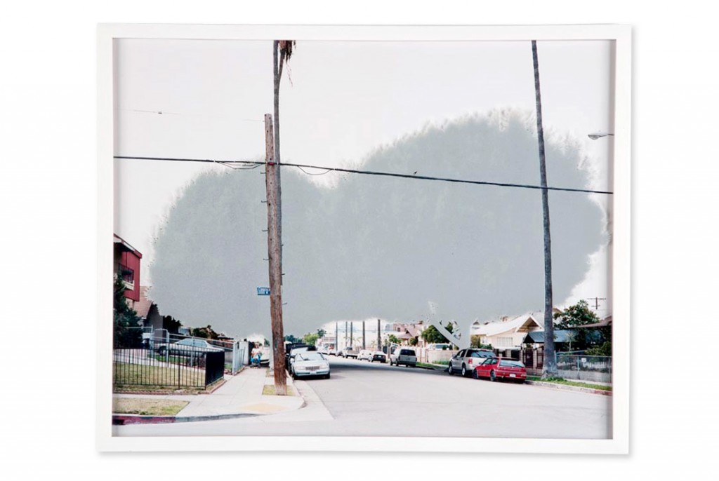 ficus #5 [n. vendome st. at council st. II]