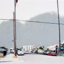 ficus #5 [n. vendome st. at council st. II]