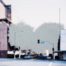 ficus #7 [s. rampart blvd. at wilshire blvd.]