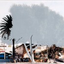 ficus #8 [s. rampart blvd. at beverly blvd.]